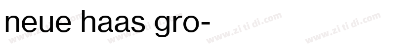 neue haas gro字体转换 neue haas gro字体转换